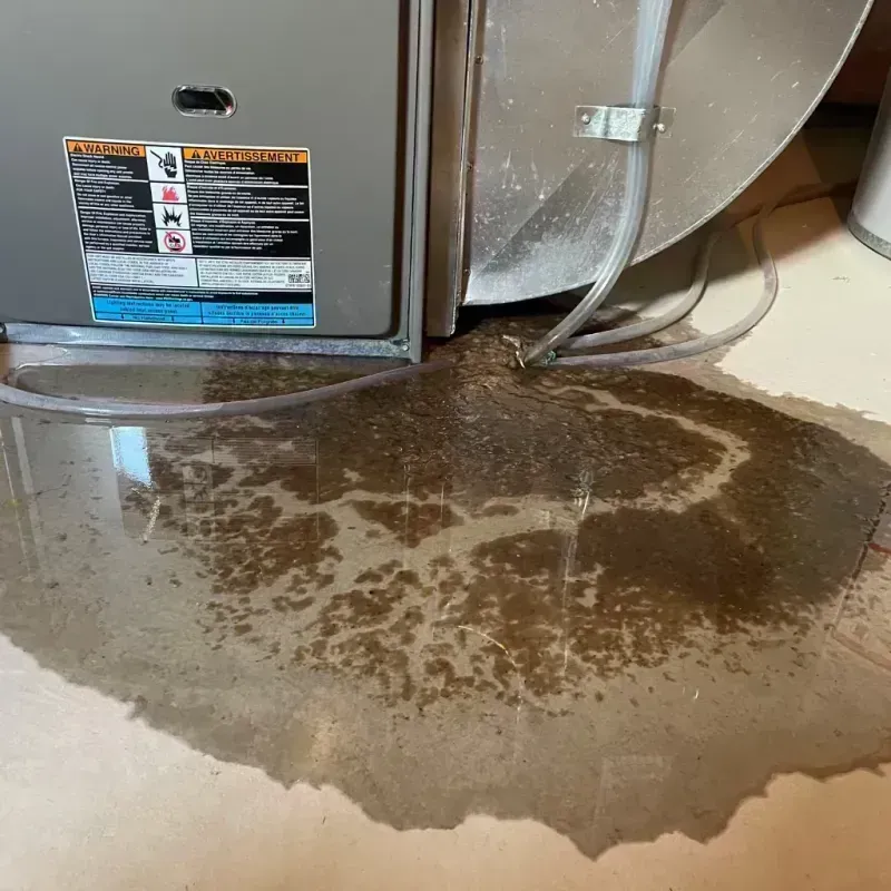 Appliance Leak Cleanup in Pana, IL